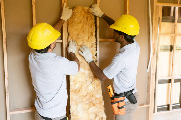 Professional Insulation in Troy, IL